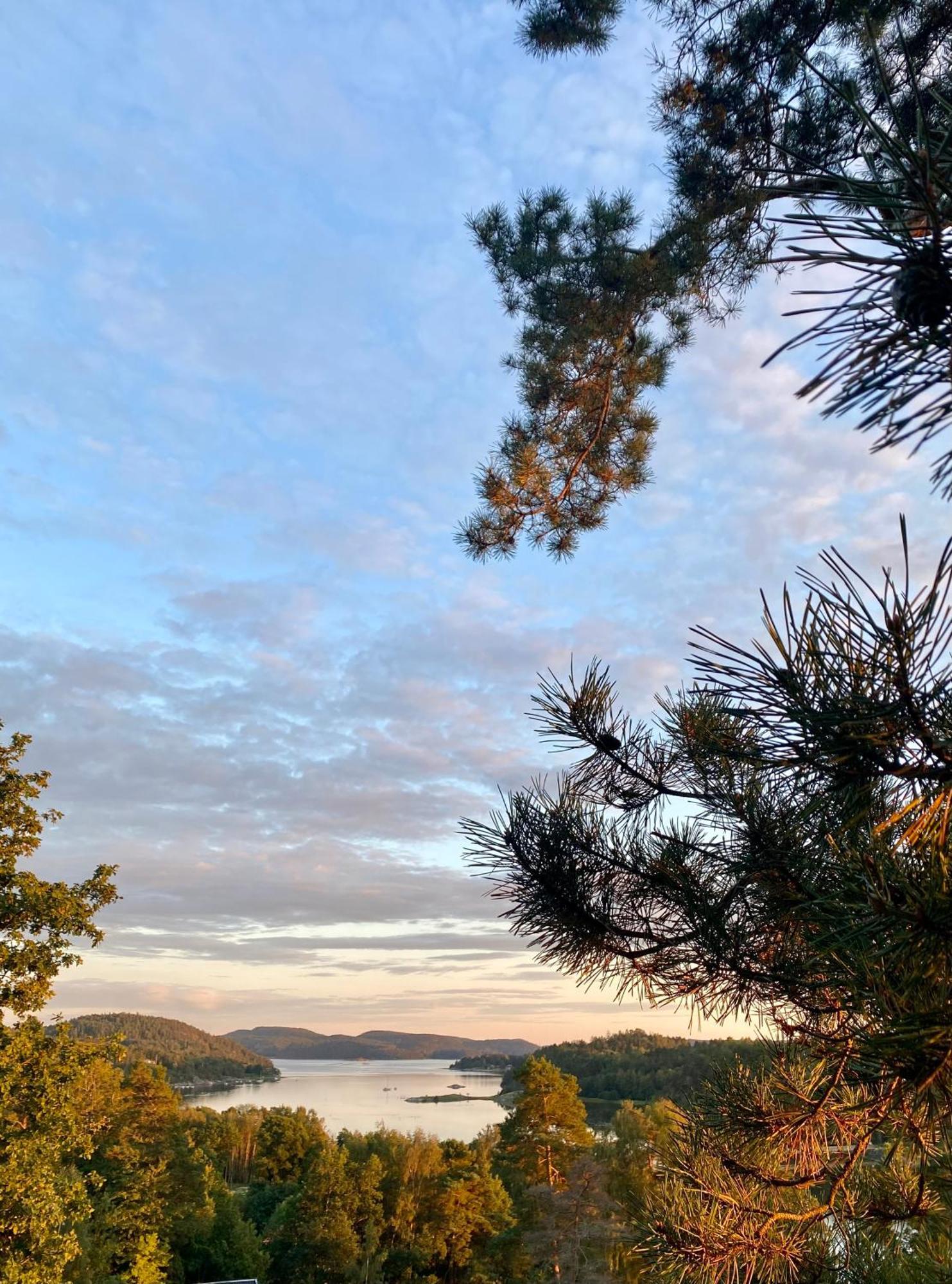 Thecabinljungskile Dış mekan fotoğraf