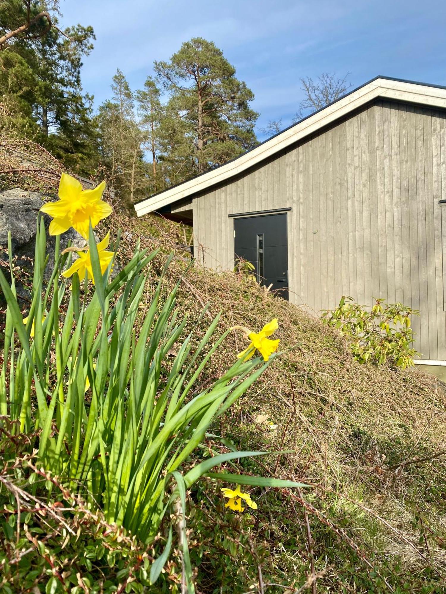 Thecabinljungskile Dış mekan fotoğraf